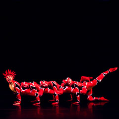 opus cactus — momix