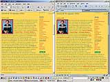 screenshot Firebug 0.6.1 [Gecko 20030728] / Mozilla 1.3 [Gecko 20030312]